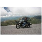 Lee Lepore's photo