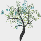 evens gallery's photo