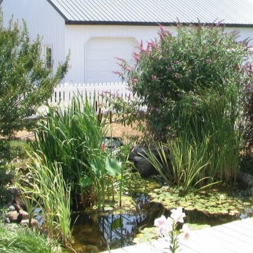Backyard Patio Deck Build - The Pond Life