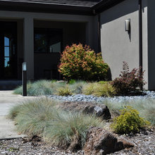 Instead of a Lawn