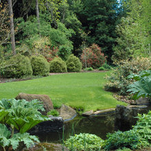 pond