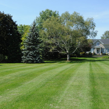 Property Maintenance
