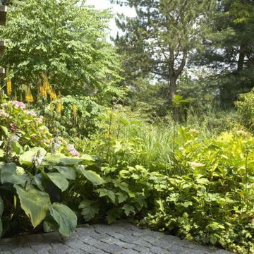 Gartenbepflanzung