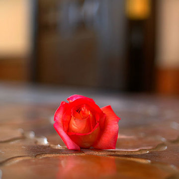 Mark Cristofalo Marisol
