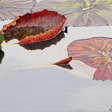 paintings