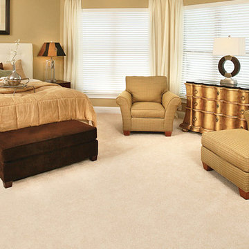 Captivating Carpet