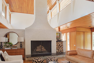 Living room - mid-century modern living room idea in Atlanta