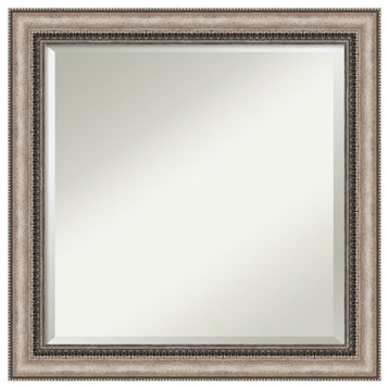 Lyla Ornate Silver Beveled Wall Mirror - 24.25 x 24.25 in.