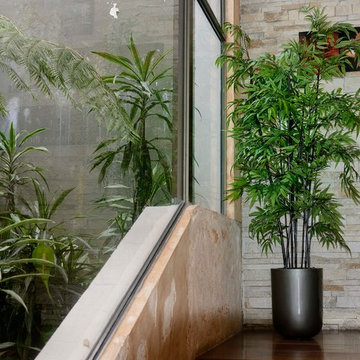 Emilio Robba Plantscaping - Bamboo