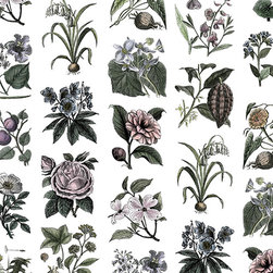 Fruit & Flora - Wallpaper