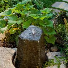Project _ Landscaping- BACKYARD