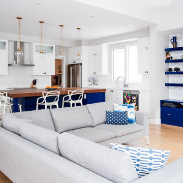 Contemporary Ottawa Infill