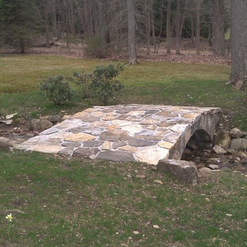 Backyard Landscape
