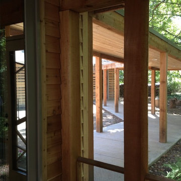 Cabin(s) in the Woods