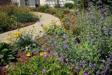 Design ideas for a mediterranean landscaping in Los Angeles.
