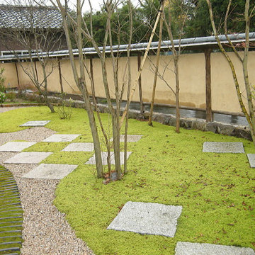 土塀とハイ苔の庭