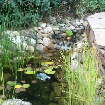 Stream to pond, the neighbors love the sound also