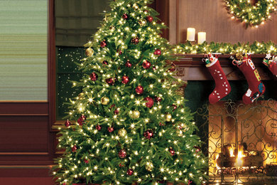 Redmond Spruce - Treetime Christmas Tree Designs