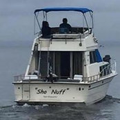 Mark Andrews's photo