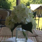 Cindy Badgett's photo