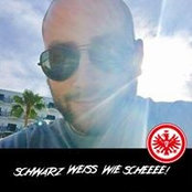 Daniel Singer's photo