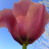 Wendy Bird's photo