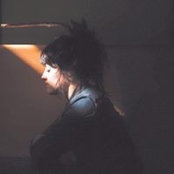 Hailey Loggins's photo