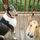 kim_millhuff