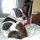 stacy_friedman3
