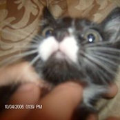 Sue Richardson-Pendleton's photo