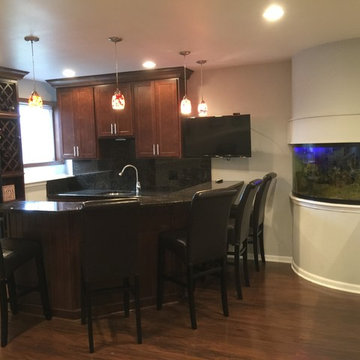 Lake Zurich Basement