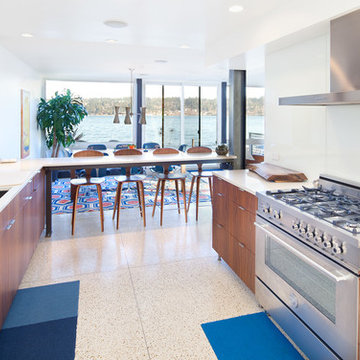 Waterfront mid-century modern