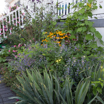 Seaside Cottage Garden