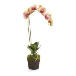 Showroom Inventory - Products