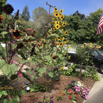 Landscape Maintenance