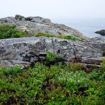 Marginal Way Garden