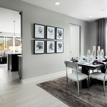 Amethyst model home in Colorado