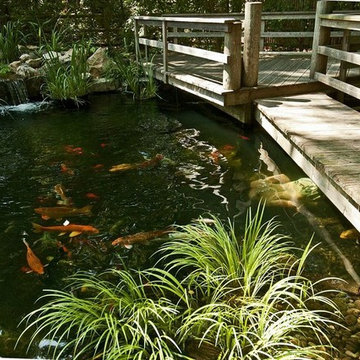 Bridge On the River Koi