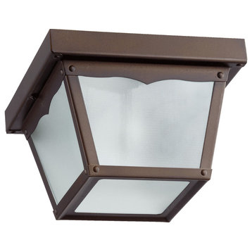 7" Outdoor Cage Ceiling Mount, Oiled Bronze