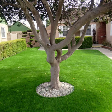 Completed Lawns and Turfs