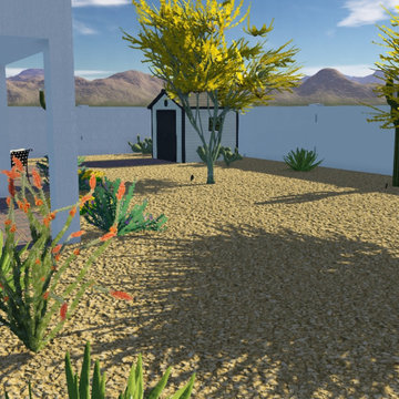 Scottsdale Desert Backyard Renovation