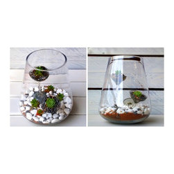 Special projects - custom made terrariums - Products