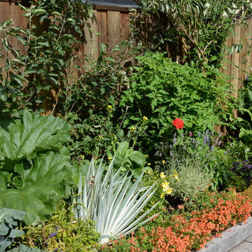 Raised Vegetable Bed / Ornamental Garden 2016