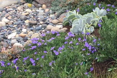 Design ideas for a traditional landscaping in Los Angeles.
