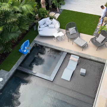 Modern Tropical pool Landscape in South Florida