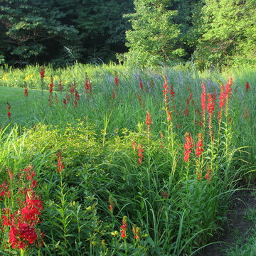 Compilation of Rain Garden Projects