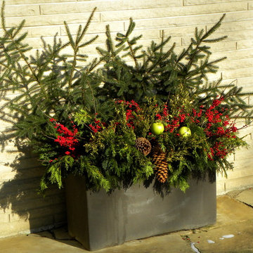 Containers for the Winter Season