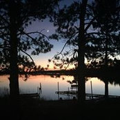 Foto von Tracy Nesley Bachman