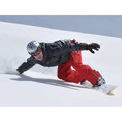 Chris Donnelly's photo