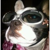 Meredith Blocker's photo